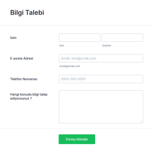 Bilgi Talep Form Şablonu