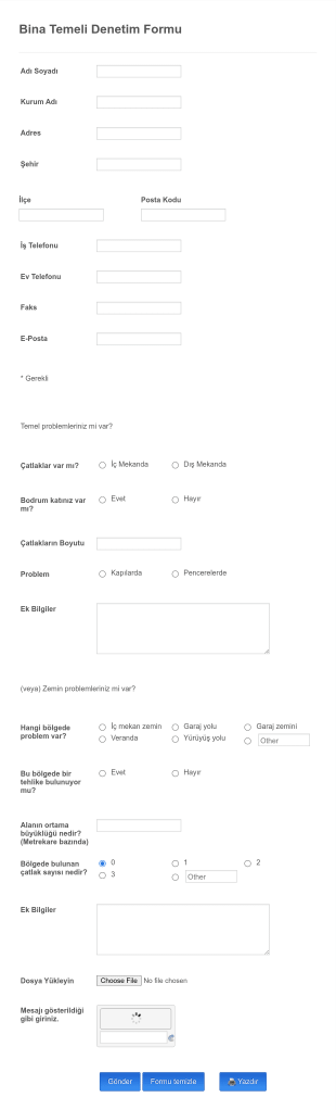 Bina Temeli Denetim Form Template