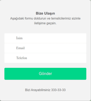Bize Ulasin Form Şablonu