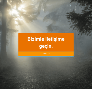 Bizimle İletişime Geçin Formu Örneği Form Template