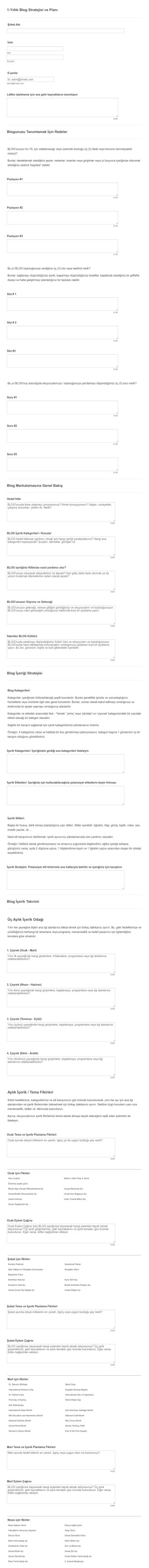 Blog Strateji Planlayıcısı Rehberi Form Şablonu