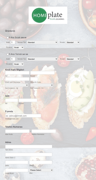 BlueSnap Online Yiyecek Sipariş Form Şablonu