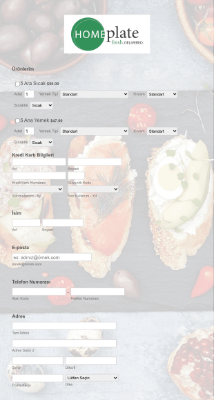BlueSnap Online Yiyecek Sipariş Form Şablonu