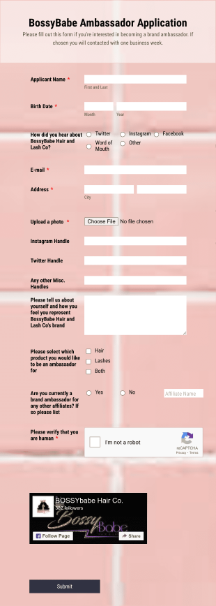 BossyBabe Hair And Lash Co Brand Ambassador Application Form Template