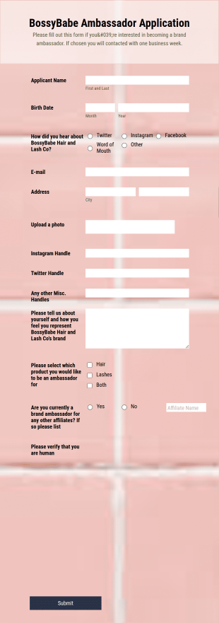 BossyBabe Hair And Lash Co Brand Ambassador Application Form Template