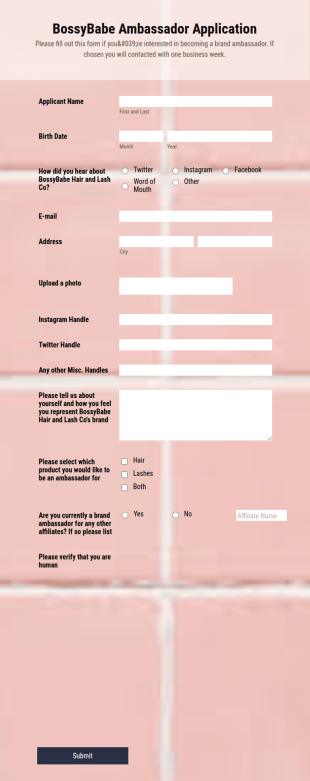 BossyBabe Hair And Lash Co Brand Ambassador Application Form Template