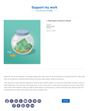 Braintree Donation Template 3