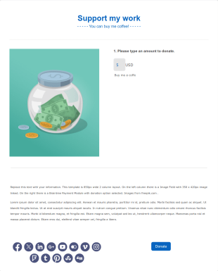 Braintree Donation Template 3 Form Template