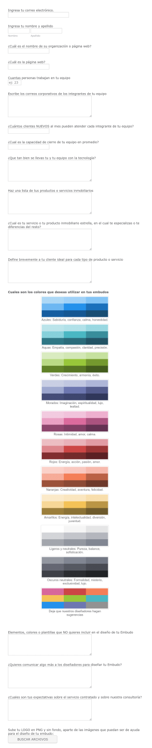 Brief Digital AGENCIA DI Form Template