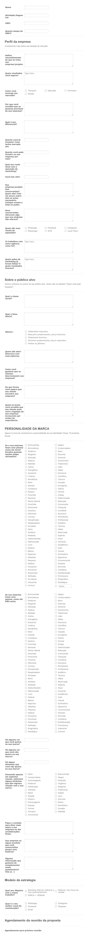 Briefing De Conceito De Negócio