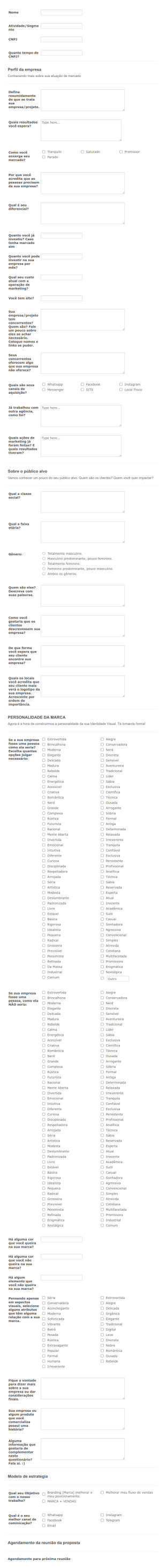 Briefing De Conceito De Negócio