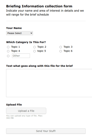 Briefing Form Template