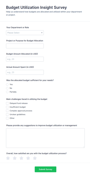 Budget Utilization Insight Survey Form Template