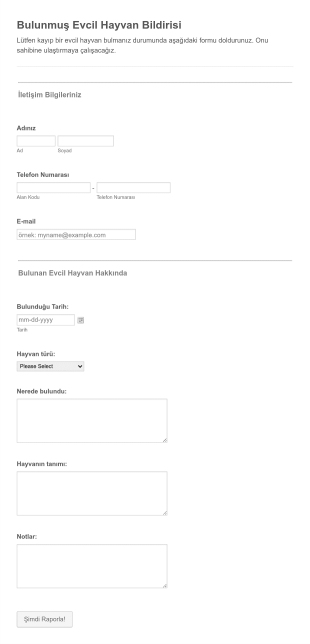 Bulunmuş Evcil Hayvan Bildiri Form Template