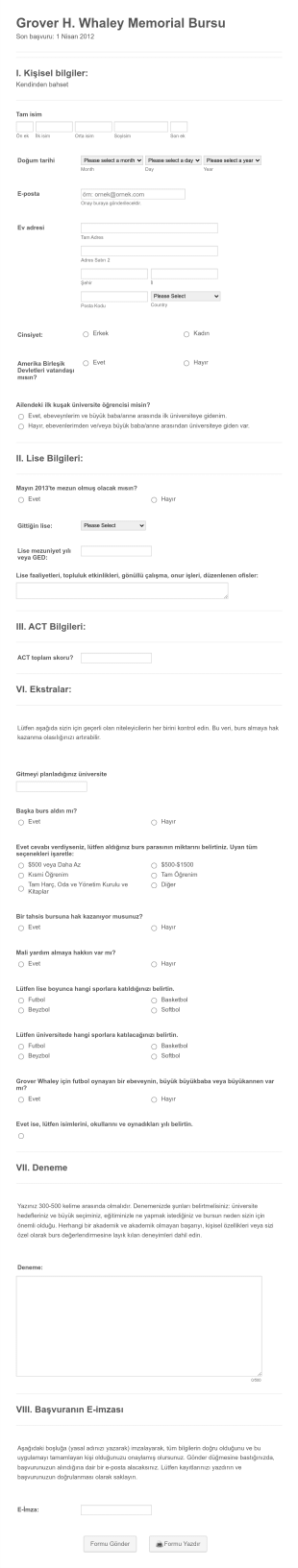 Burs Başvuru Form Template