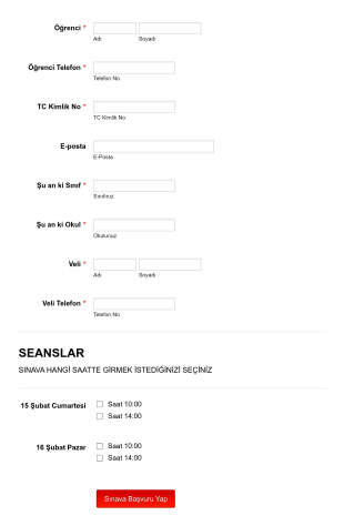 Bursluluk Form Şablonu