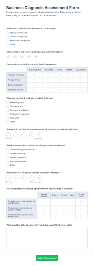 Business Diagnosis Assessment Form Template