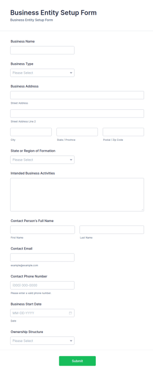 Business Entity Setup Form Template