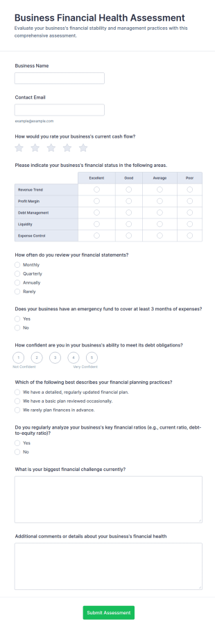 Business Financial Health Assessment Form Template