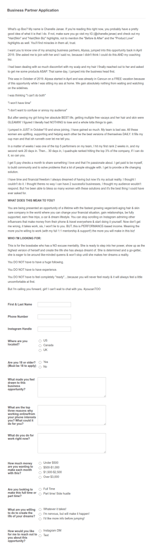 Business Partner Application Form Template