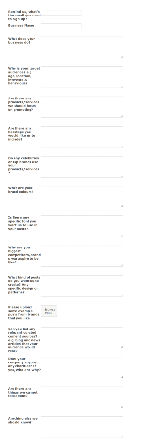 Business Profiler Form Template