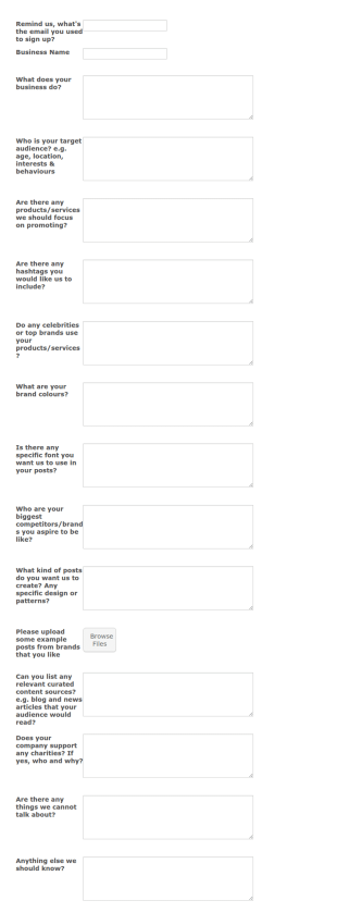 Business Profiler Form Template