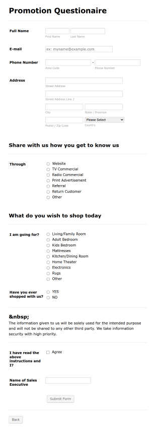 Business Promotion Form Template