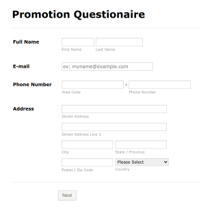 Business Promotion Form Template