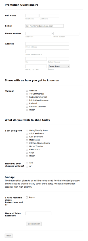 Business Promotion Form Template