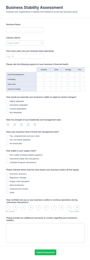 Business Stability Assessment Form Template