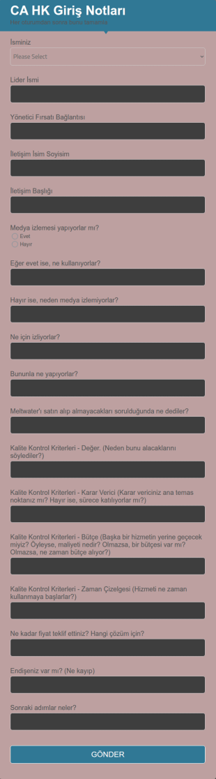 CA Hong Kong Giriş Raporu Form Şablonu