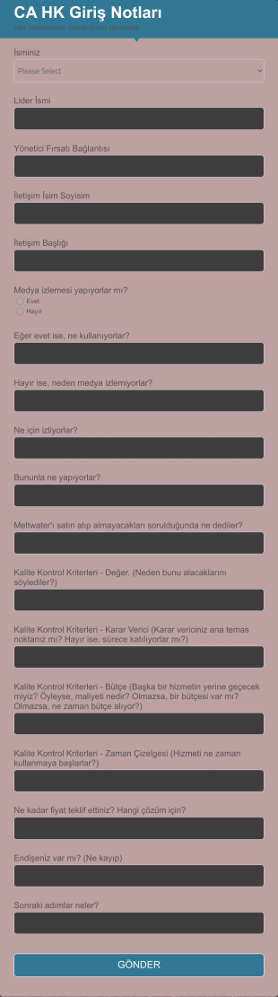 CA Hong Kong Giriş Raporu Form Template