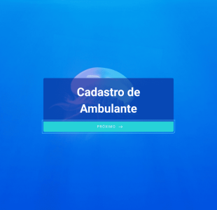 Cadastro De Ambulante Form Template