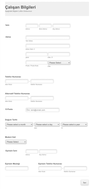 Calisan Bilgileri Form Template