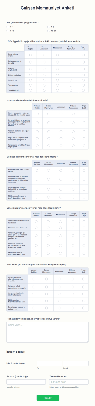 Çalışan Memnuniyet Anketi Form Şablonu