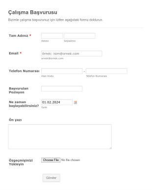 Çalışma Başvurusu Form Şablonu