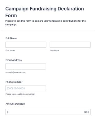 Campaign Fundraising Declaration Form Template