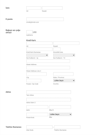 Cardconnect Egitime Bagis Odeme Form Template