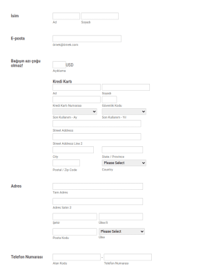Cardconnect Egitime Bagis Odeme Form Şablonu
