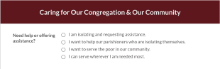 Caring For Congregation & Community Form Template