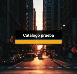 Catálogo Prueba Form Template