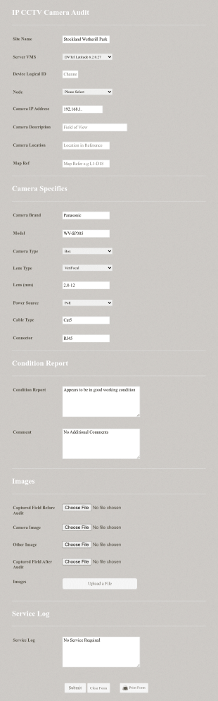 Cctv Ip System Audit Form Template