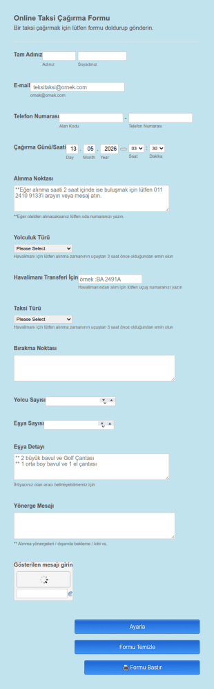 Çevrimiçi Taksi Çağırma Form Şablonu
