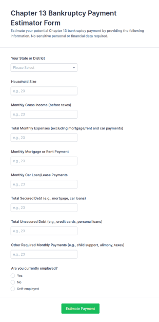Chapter 13 Bankruptcy Payment Estimator Form Template