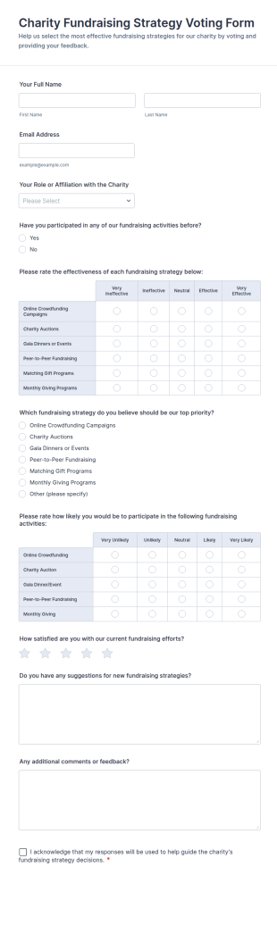 Charity Fundraising Strategy Voting Form Template