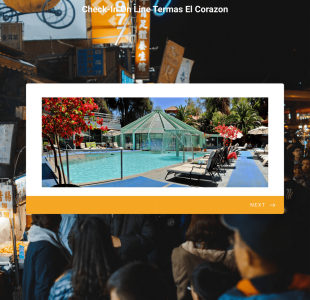 Check In On Line Termas El Corazon Form Template