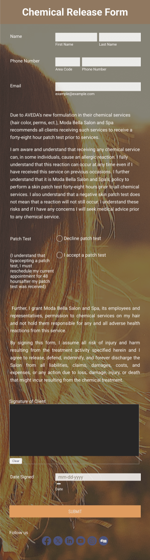 Chemical Release Form Template