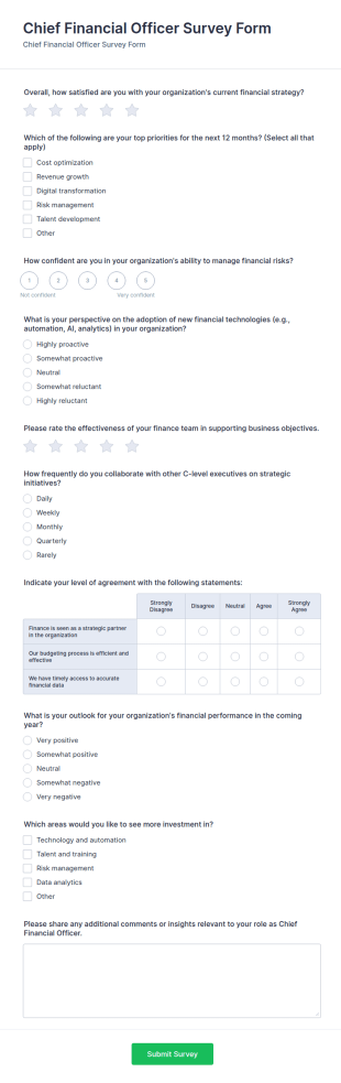 Chief Financial Officer (CFO) Survey Form Template