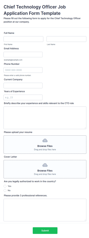 Chief Technology Officer Job Application Form Template