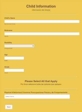 Child Concerns Report Form Template